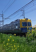 Ｅ5系&C6120さんの投稿した写真