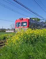 Ｅ5系&C6120さんの投稿した写真