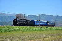 ラッピング電車さんの投稿した写真