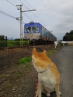 Ｅ5系&C6120さんの投稿した写真