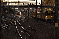 甲武汽車さんの投稿した写真