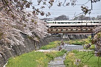 甲武汽車さんの投稿した写真