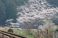 かなた。さんの投稿した写真