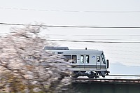 甲武汽車さんの投稿した写真