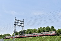 甲武汽車さんの投稿した写真