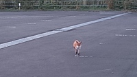 清水織部さんの投稿した写真