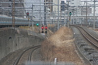 Akabanelineさんの投稿した写真