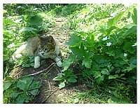 清水織部さんの投稿した写真