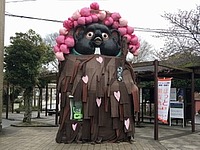 iwafunemoriさんの投稿した写真