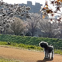 清水織部さんの投稿した写真