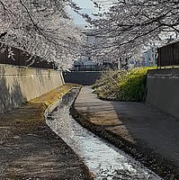 清水織部さんの投稿した写真