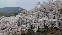 清水織部さんの投稿した写真