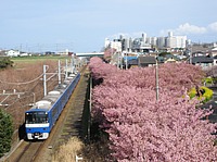 そうそう阪神さんの投稿した写真