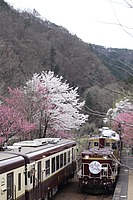 拝島車両区さんの投稿した写真