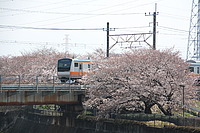 拝島車両区さんの投稿した写真