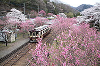 拝島車両区さんの投稿した写真