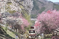 拝島車両区さんの投稿した写真