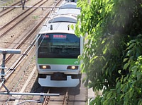 電車と猫とお城さんの投稿した写真