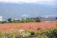 拝島車両区さんの投稿した写真