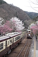 拝島車両区さんの投稿した写真