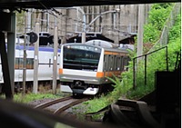電車と猫とお城さんの投稿した写真