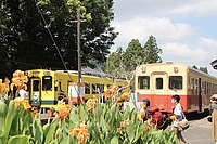 拝島車両区さんの投稿した写真