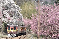 拝島車両区さんの投稿した写真