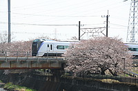 拝島車両区さんの投稿した写真