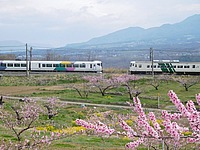 拝島車両区さんの投稿した写真