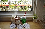 vase, flowerpot, houseplant, indoor, flower, text, window, house, table, furniture, pot, plant