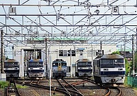 train, railroad, track, rail, station, land vehicle, vehicle, locomotive, text, several