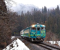 tree, outdoor, train, track, transport, railroad, snow, forest, traveling, locomotive, rail, vehicle, land vehicle, mountain, pulling, moving, wooded, day
