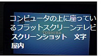 新快速米原方面敦賀行きさんの投稿した写真