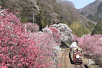 拝島車両区さんの投稿した写真