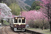 拝島車両区さんの投稿した写真