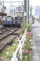 拝島車両区さんの投稿した写真