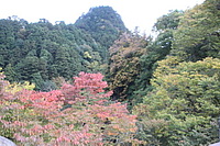 拝島車両区さんの投稿した写真