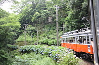 拝島車両区さんの投稿した写真