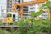 拝島車両区さんの投稿した写真