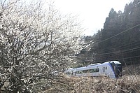 拝島車両区さんの投稿した写真