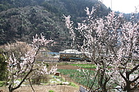 拝島車両区さんの投稿した写真