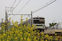 拝島車両区さんの投稿した写真