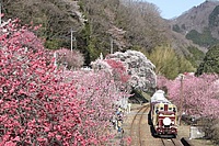 拝島車両区さんの投稿した写真