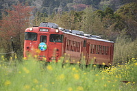 拝島車両区さんの投稿した写真