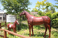 拝島車両区さんの投稿した写真