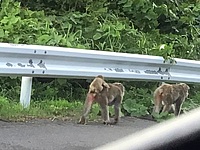 B特品川2100さんの投稿した写真