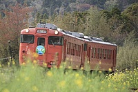 拝島車両区さんの投稿した写真