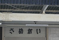 つよPさんの投稿した写真
